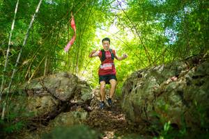 BIB: 
                            <button type="button" onclick="openModal(22088045)" class="btn btn-primary btn-sm float-right btn-popup" data-toggle="modal" data-target=".modal-high-quality">
                        <i class="fas fa-shopping-cart"></i> Add to Cart
                    </button>
                                            <button type="button" onclick="isThisMe(22088045, true)" class="btn btn-success btn-sm float-right btn-popup btn-isme hidden" data-toggle="tooltip" data-placement="bottom" title="นี่คือรูปของคุณใช่ไหม คลิกที่นี่เพื่อเอาเข้าอัลบั้ม">
                        <i class="fas fa-plus"></i> Add to album
                    </button>
                    <button type="button" onclick="isThisMe(22088045, false)" class="btn btn-warning btn-sm float-right btn-popup btn-isnotme hidden">
                        <i class="fas fa-ban"></i> Remove from album
                    </button>